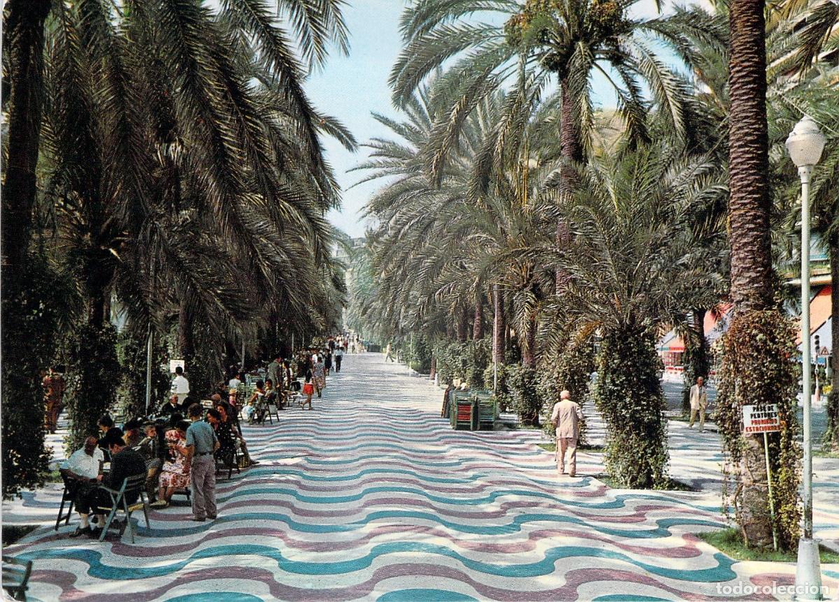 Postales: Postal de la Explanada de Espa&ntilde;a en Alicante con Palmeras