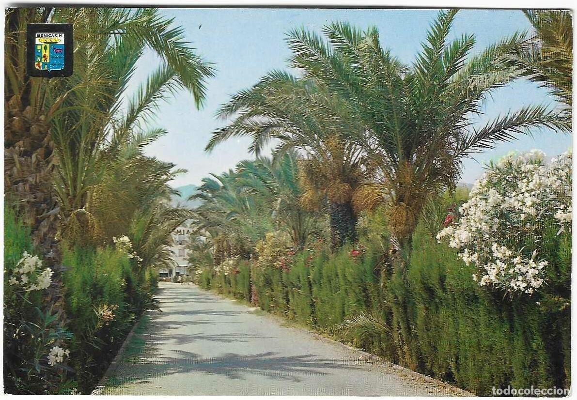 Postales: Benicasim (Castell&oacute;n). Hotel Miami. Escudo de Oro