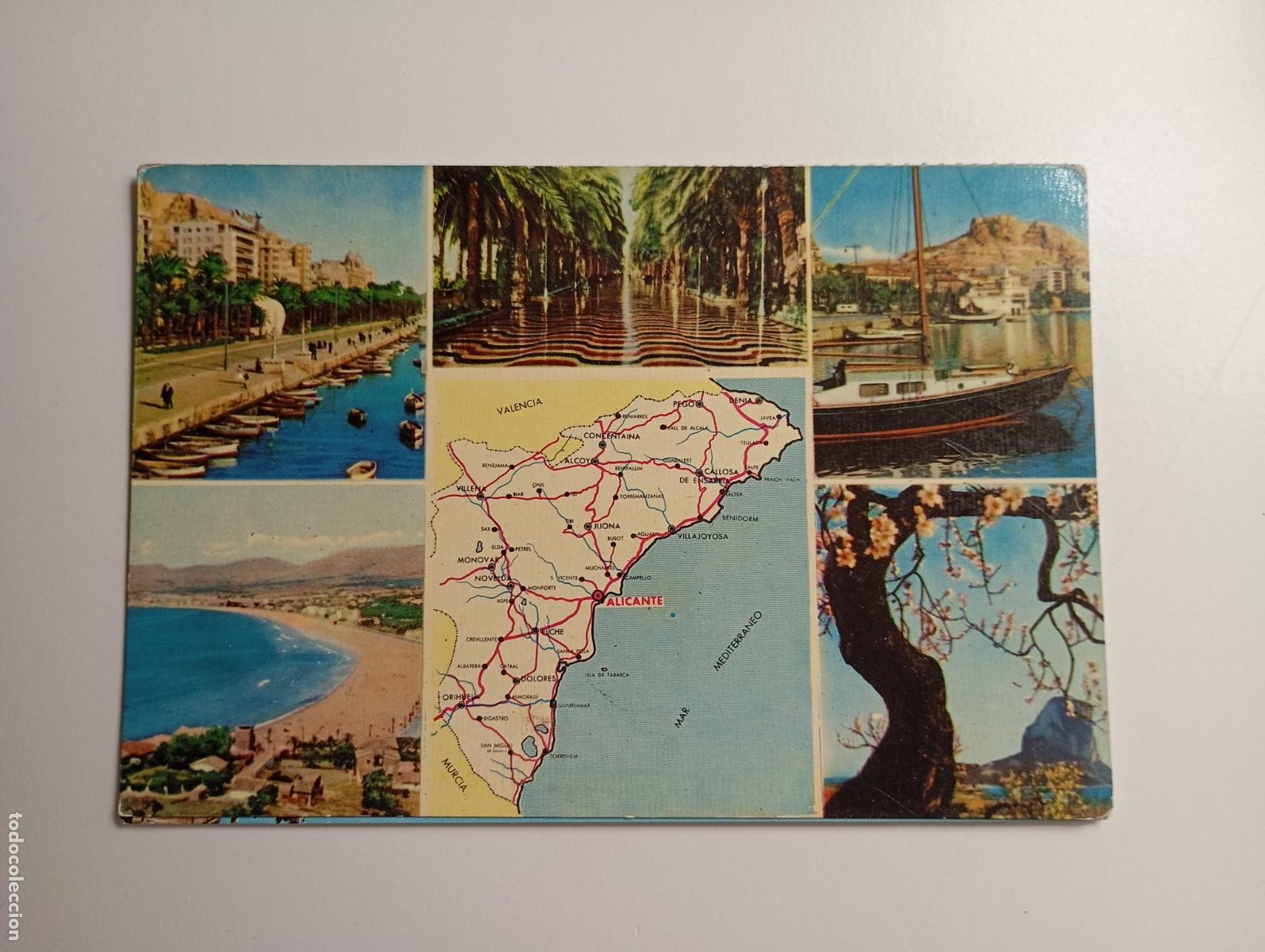 Postales: POSTAL DE ALICANTE. COSTA BLANCA. TDKP29M