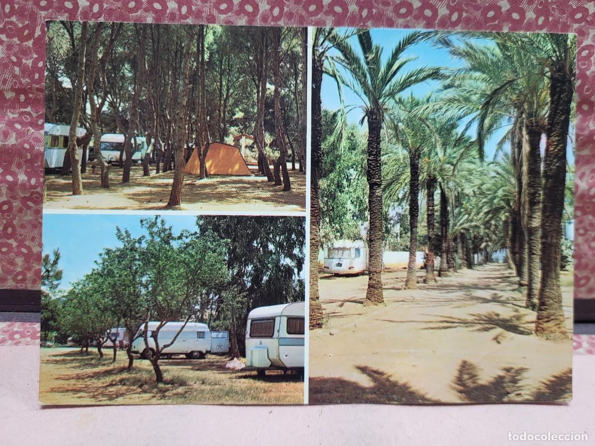 Postales: ANTIGUA POSTAL DENIA ALICANTE CAMPING LOS PINOS