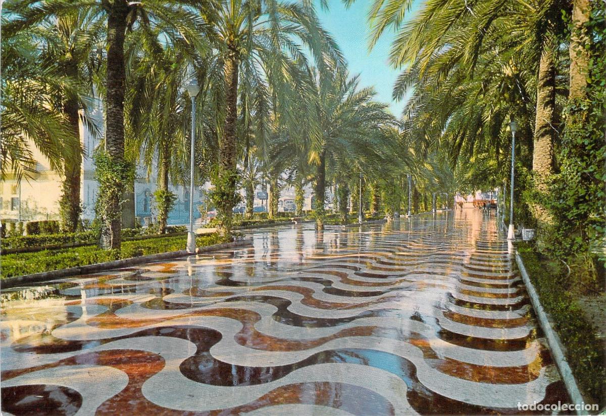 Postales: Postal Explanada de Espa&ntilde;a en Alicante con Paseo de Palmeras