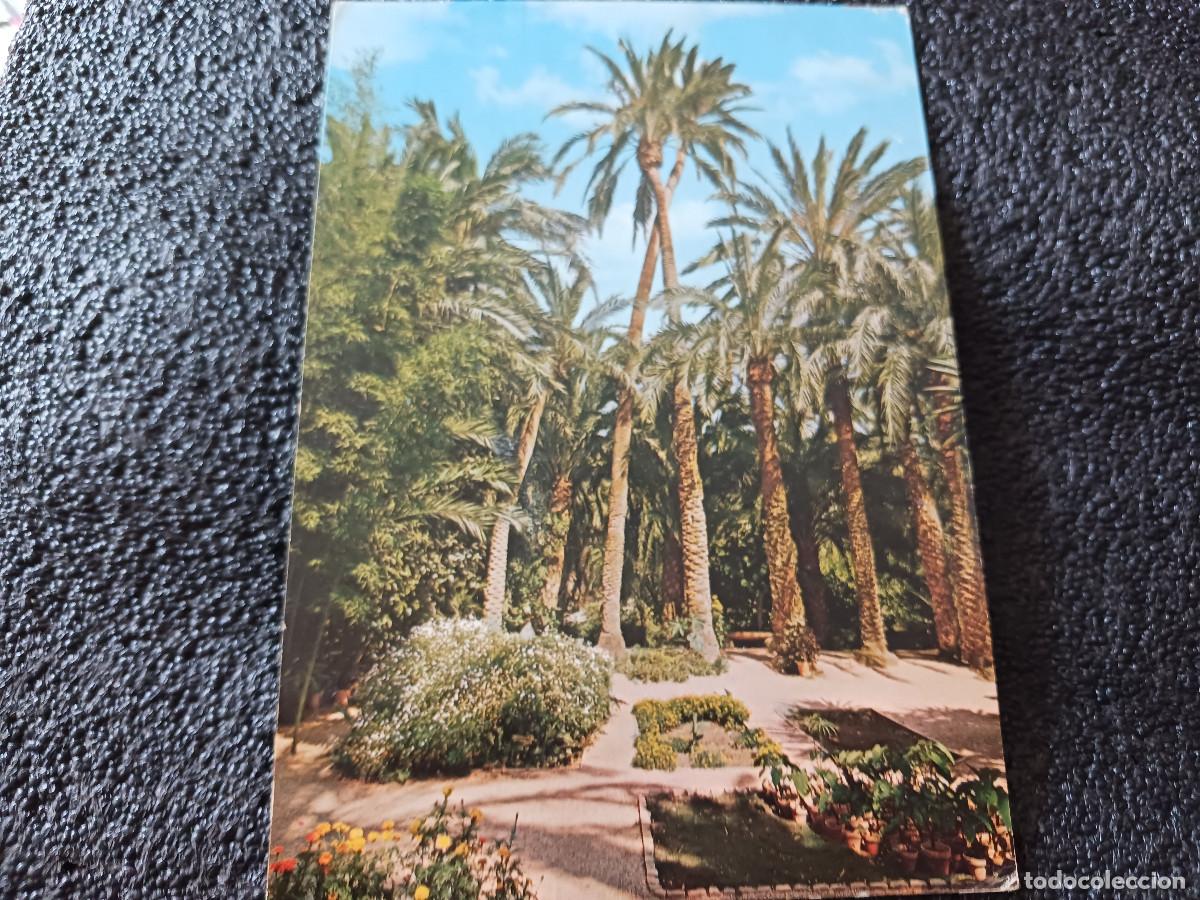 Postales: 72 ALICANTE, elche, huerto del cura, palmeras romeo, ed. garrabella, circulada