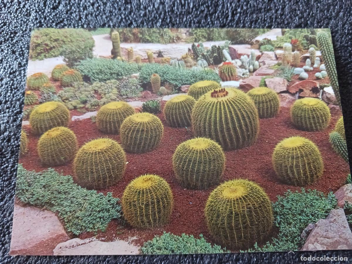 Postales: 82 ALICANTE, elche, huerto del cura, rocalla, ed. arribas, escrita