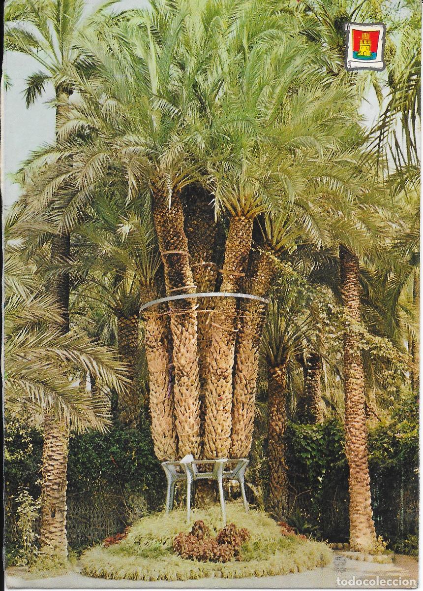 Postales: [POSTAL] Huerto del Cura. Palmera Imperial. Elche (Alicante) A&ntilde;o 1973 (circulada)