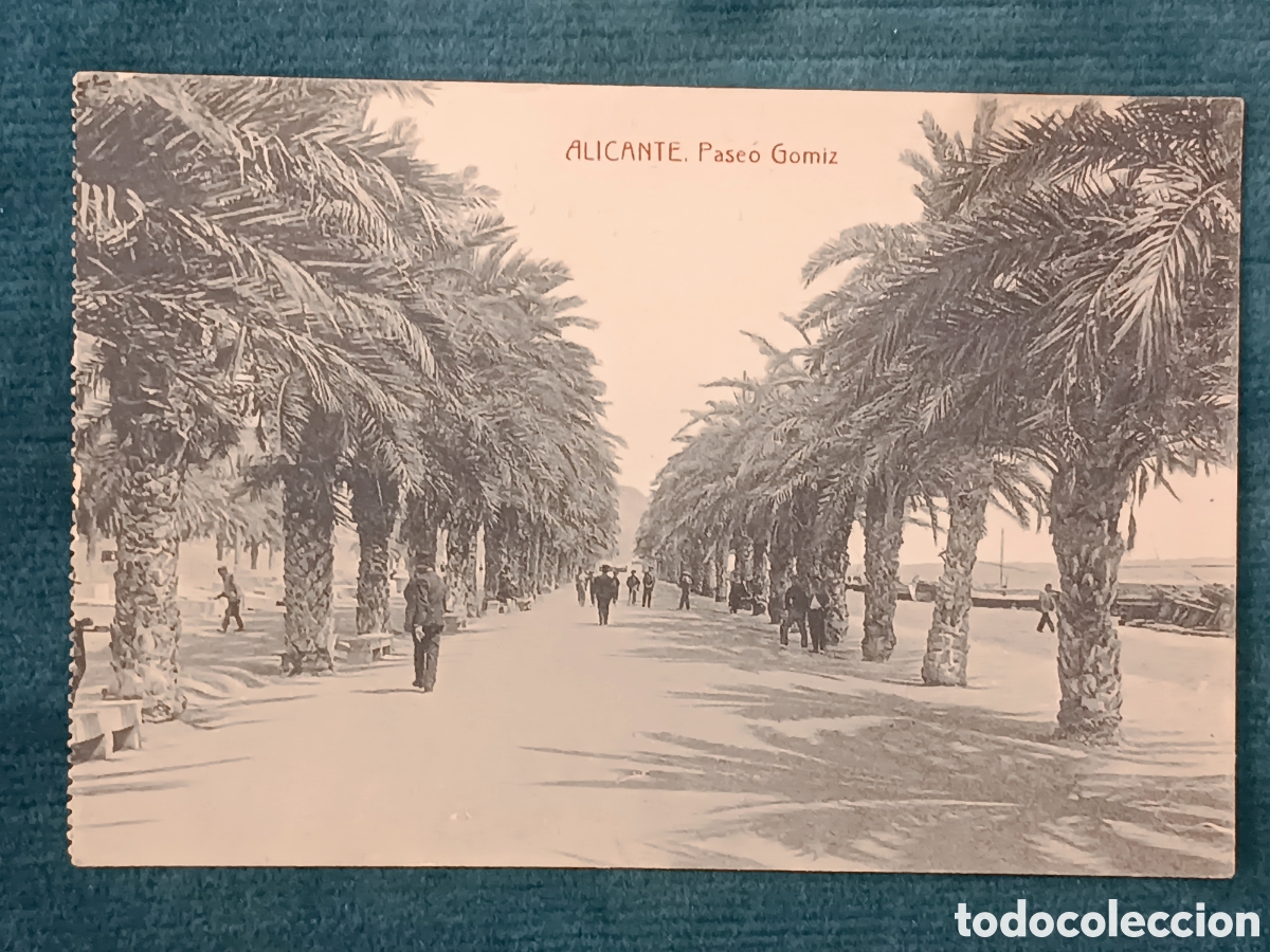 Postales: ALICANTE. Paseo Gomiz. (Alacant)