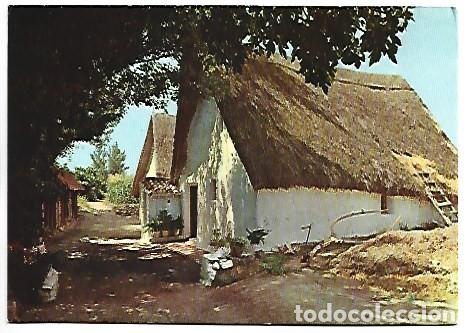 Postales: BARRACAS TIPICAS - HUTTES TYPIQUES.- VALENCIA