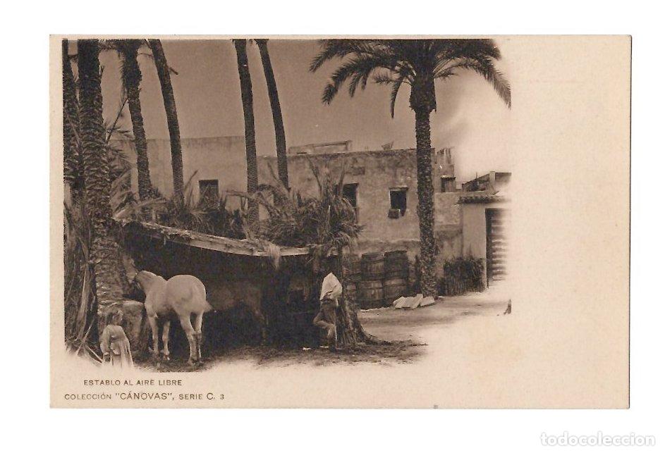 Postales: TARJETA POSTAL ELCHE ESTABLO AL AIRE LIBRE. COLECCION CANOVAS SERIE C N&ordm; 3