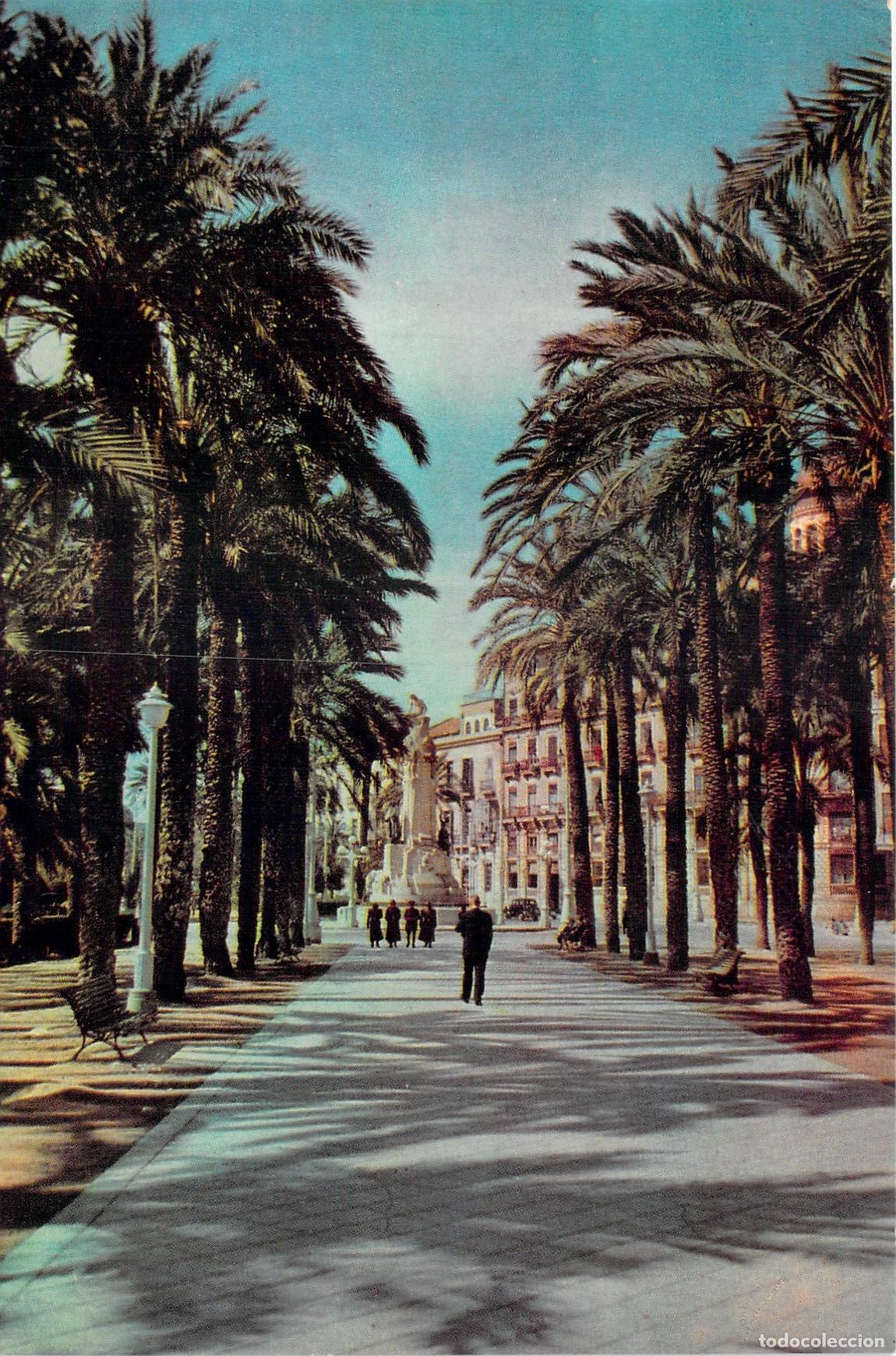 Postales: Postal Explanada de Espa&ntilde;a en Alicante con Palmeras