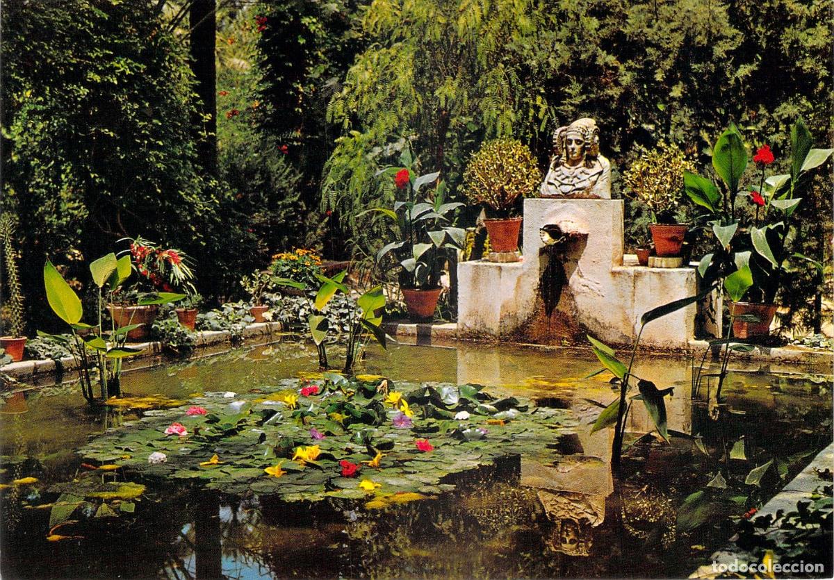Postais: Postal de Elche, Huerto del Cura y la Dama de Elche