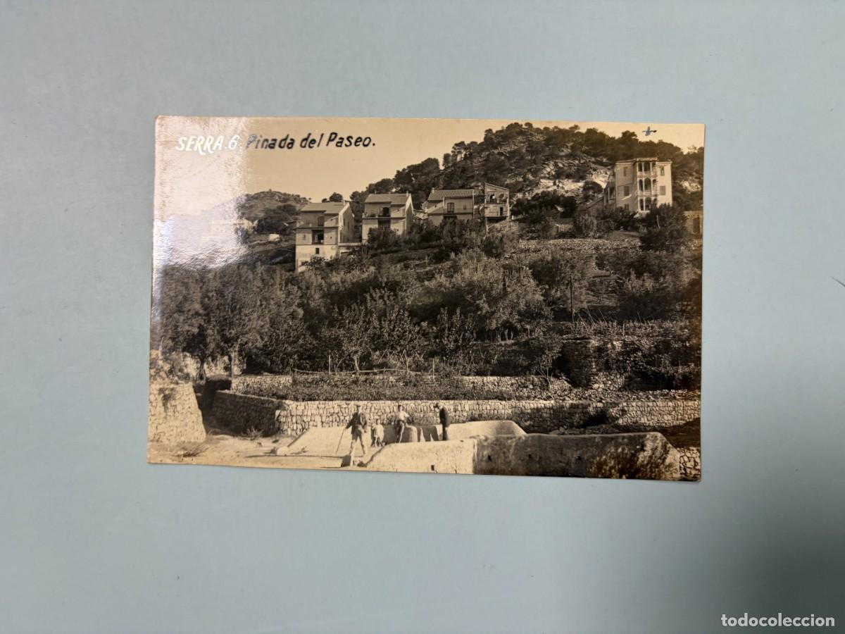 Postales: TARJETA POSTAL. VALENCIA. SERRA. PINADA DEL PASEO.
