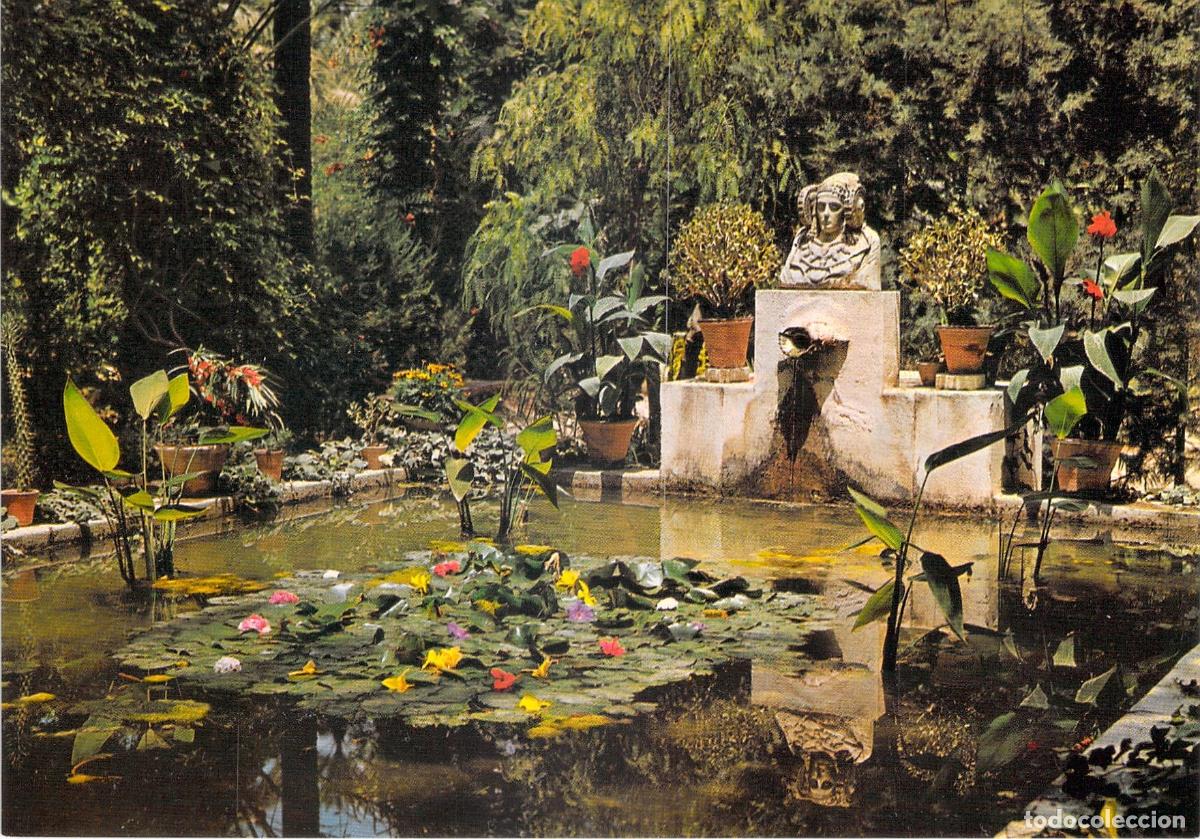 Postales: Postal Elche Huerto del Cura El Tocador de la Dama de Elche