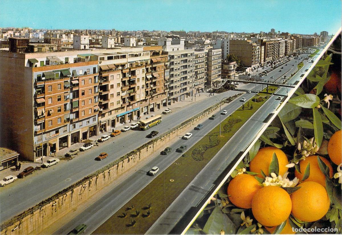 Postales: Postal de Valencia, Vista de la Avenida del Cid y Detalle de Naranjas