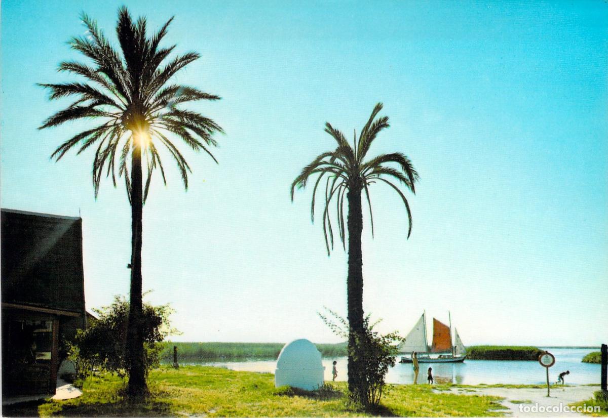 Postales: Postal de La Albufera de Valencia con Palmeras y Barca
