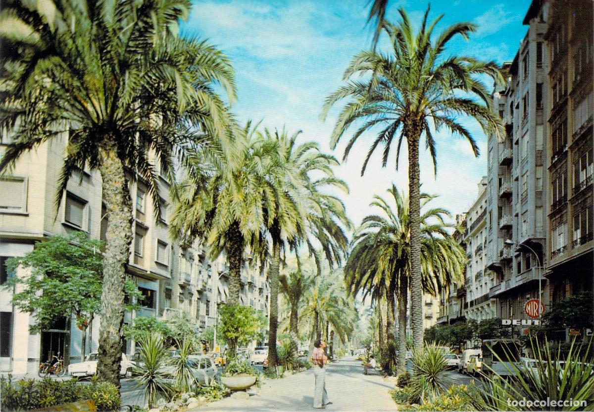 Postales: Postal de la Avenida de Jos&eacute; Antonio en Valencia con Palmeras