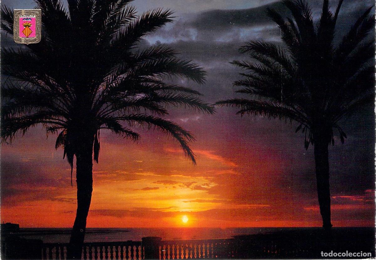 Postales: Postal de Valencia, Atardecer en la Albufera a Contraluz