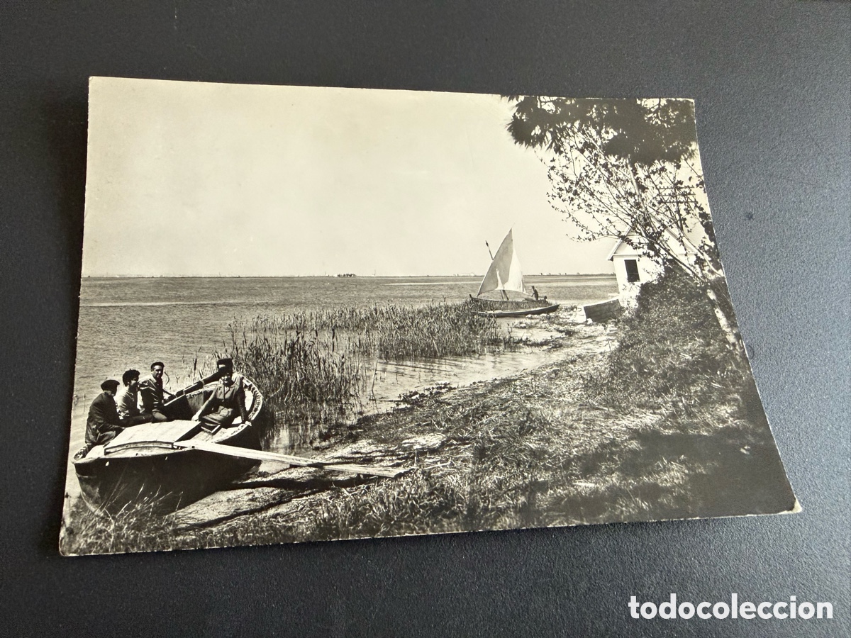 Postales: Postal. VALENCIA. Lago de la Albufera