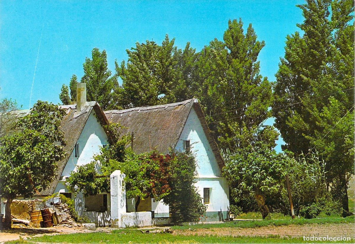 Postales: Postal de Valencia - Barracas Tradicionales en la Huerta