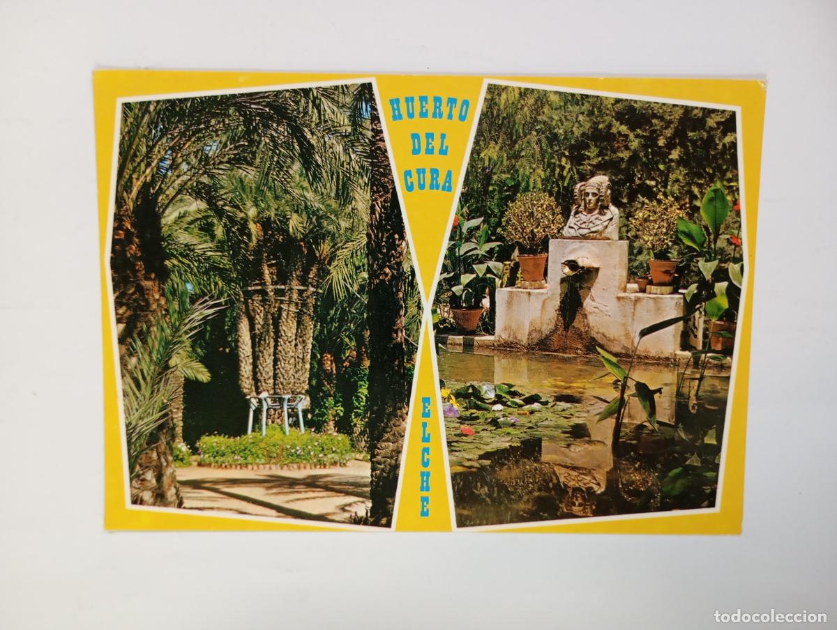 Postales: POSTAL DE ELCHE. HUERTO DEL CURA. TDKP29R