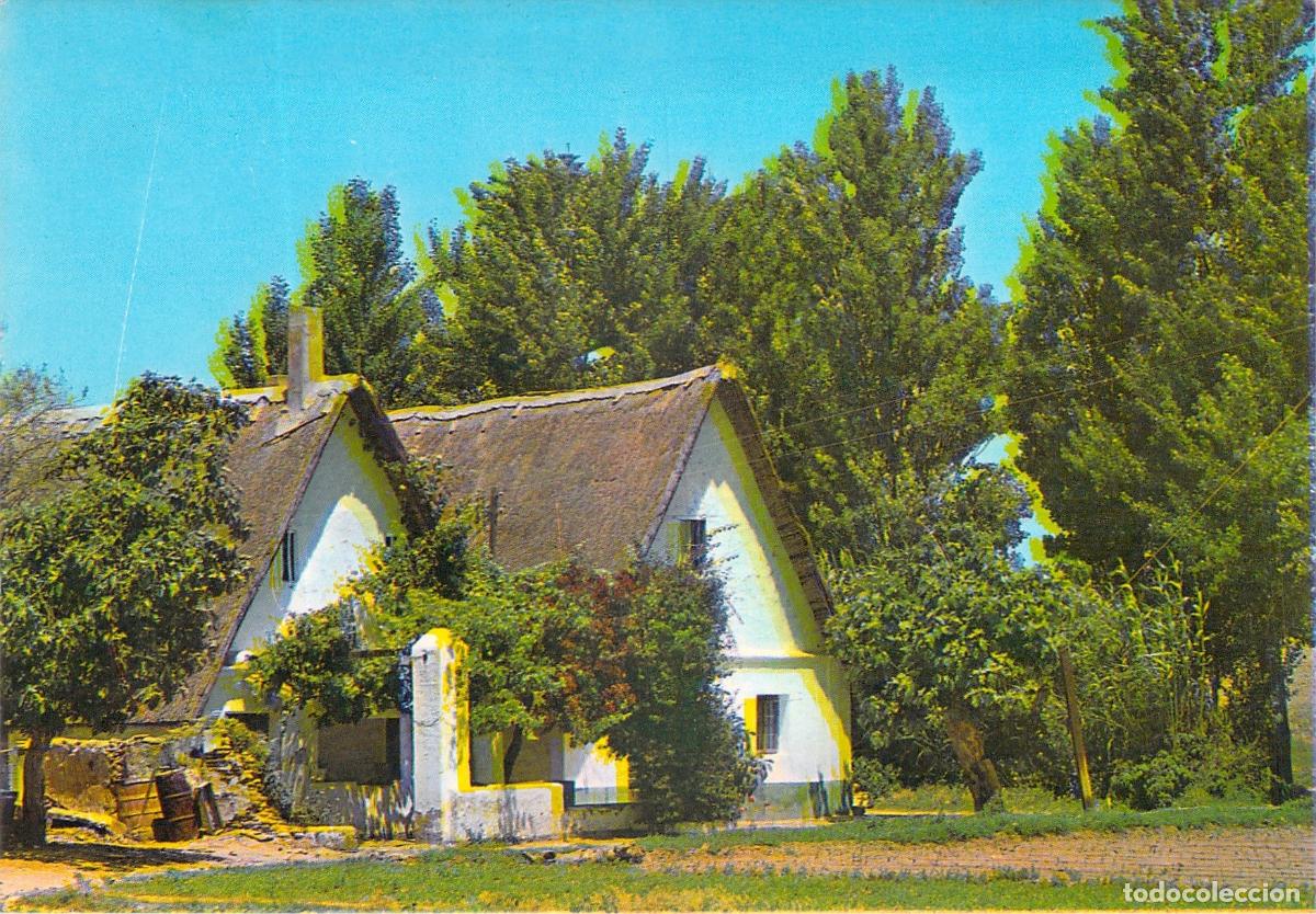 Postales: Postal de Barracas en la Huerta de Valencia