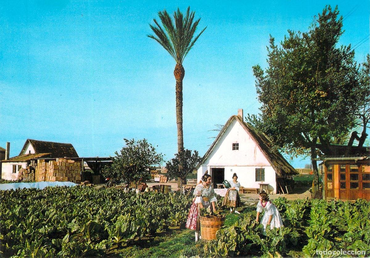 Postales: Postal de la Huerta de Valencia con Barraca y Trajes T&iacute;picos
