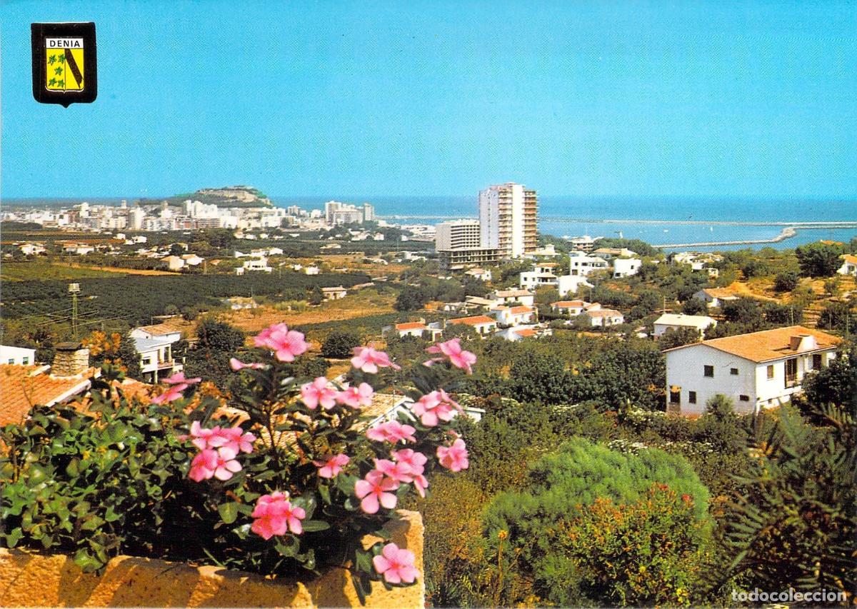 Postales: Postal de Denia Alicante Vista General Escudo de Oro