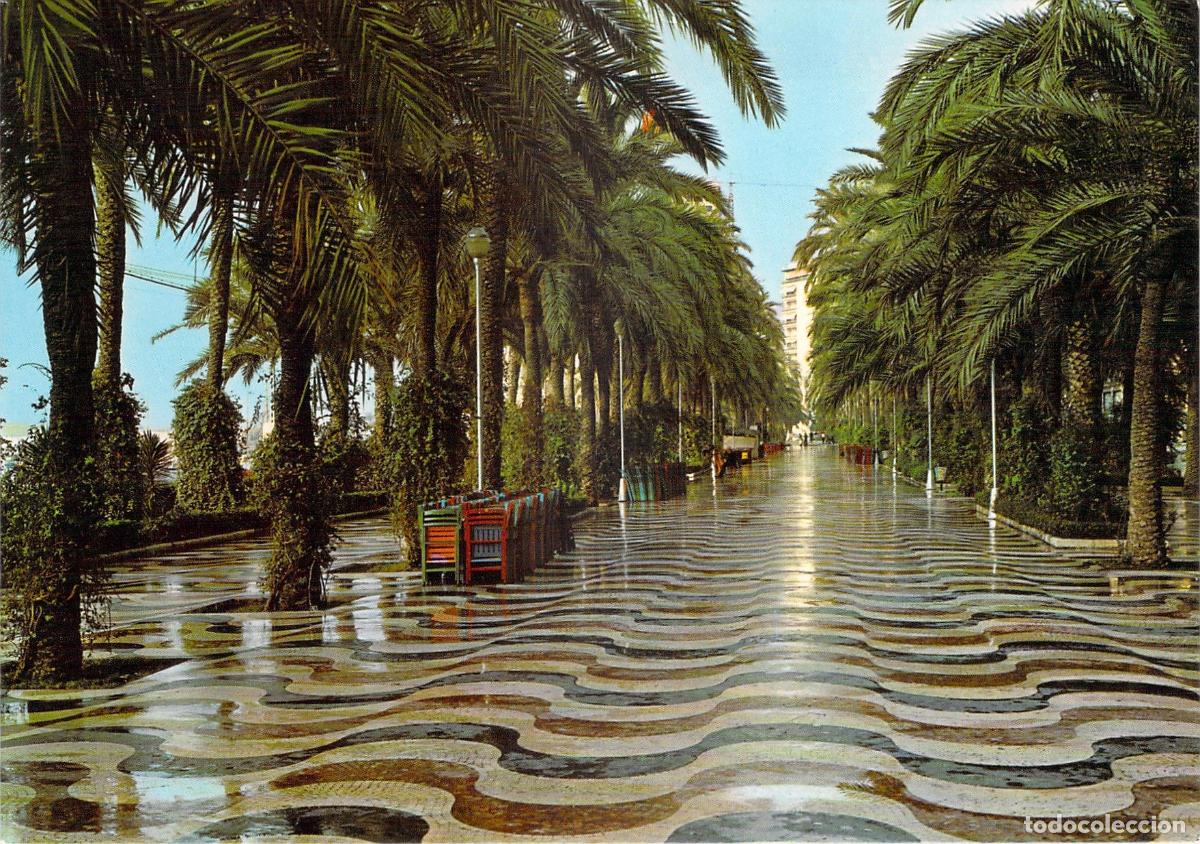 Postales: Postal de la Explanada de Espa&ntilde;a en Alicante con Palmeras