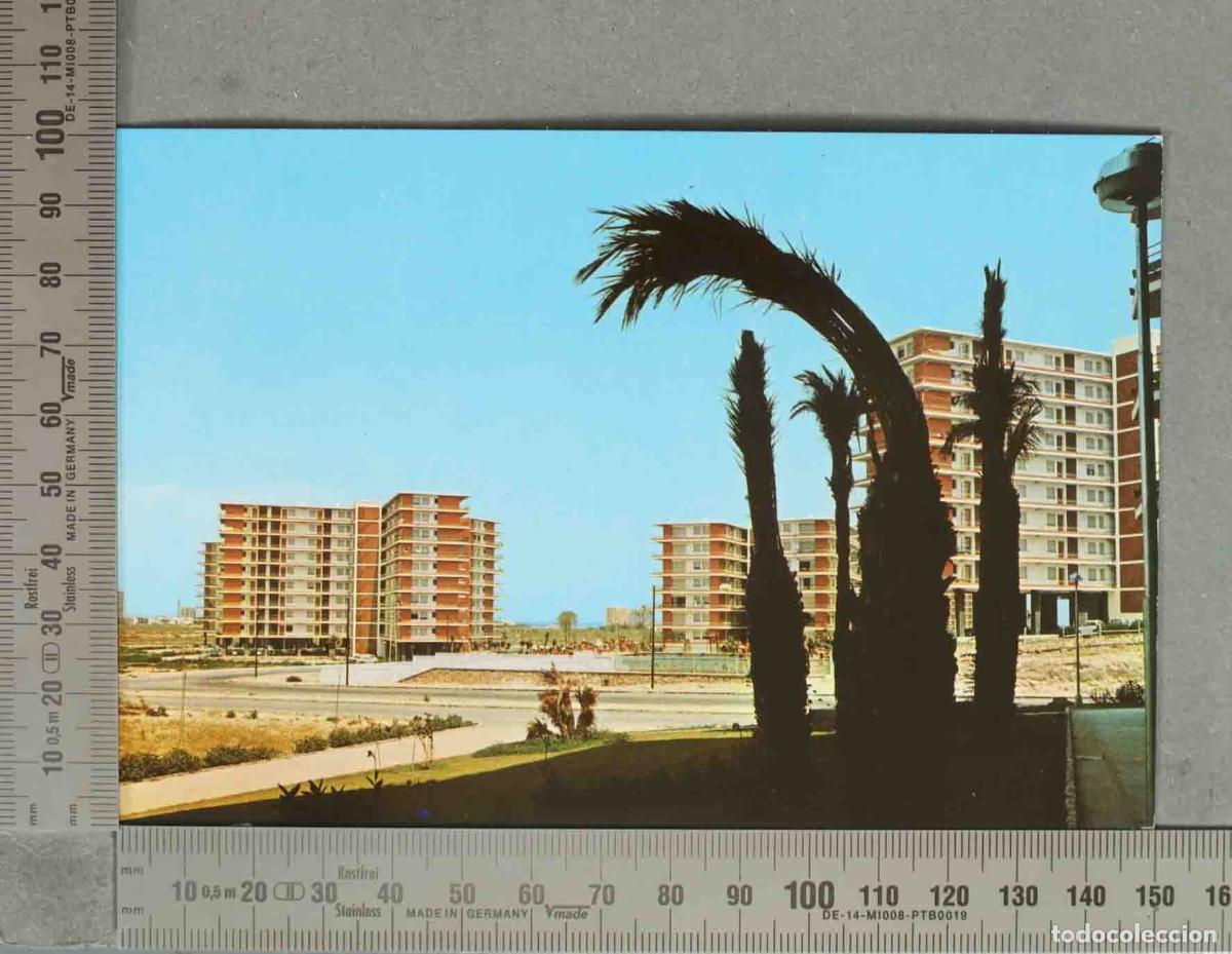 Postales: POSTAL. Benidorm - Edificios de apartamentos y palmeras