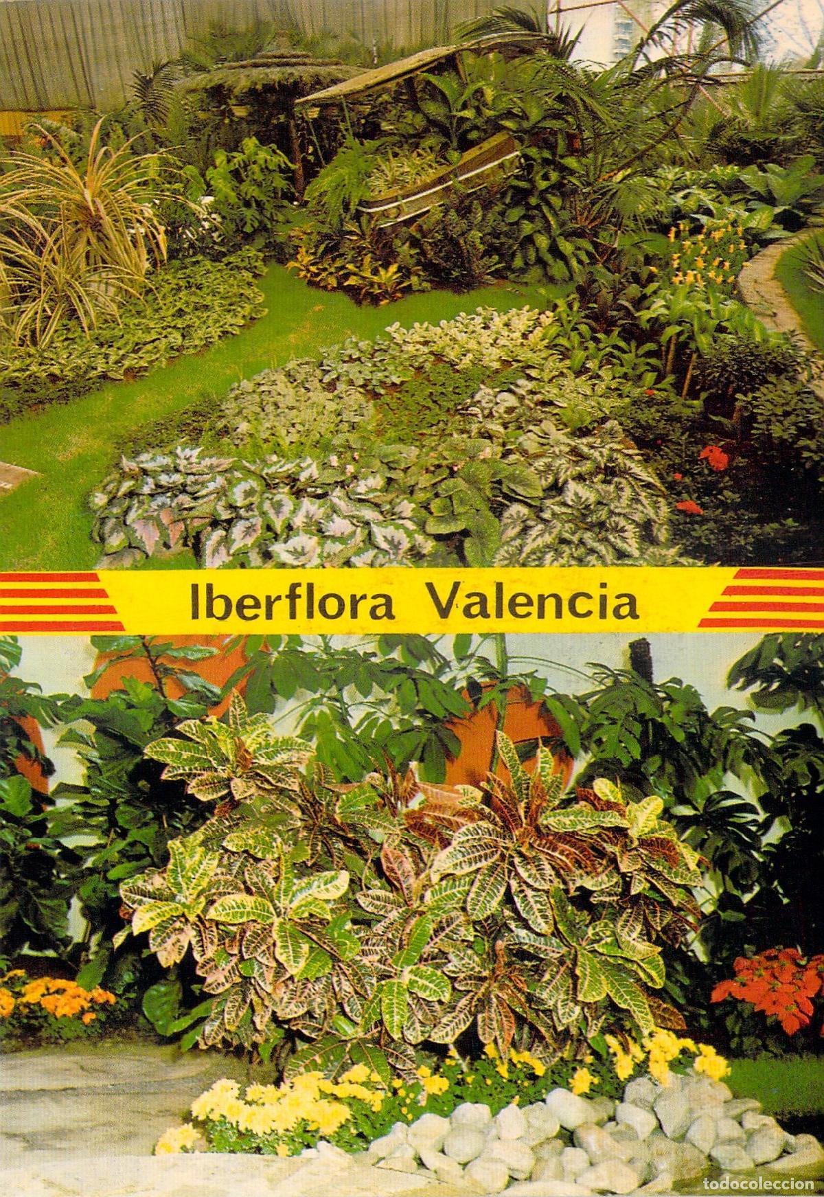 Postales: Postal Iberflora Valencia Exposici&oacute;n de Flores y Plantas