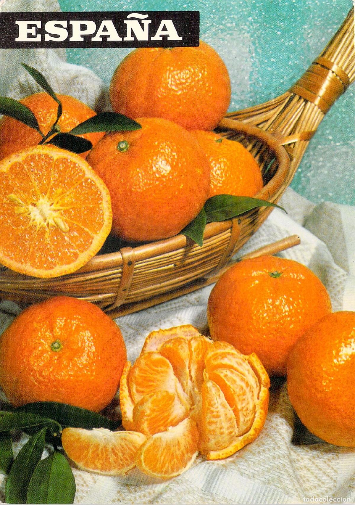 Postales: Postal Publicitaria de Espa&ntilde;a con Naranjas y Mandarinas