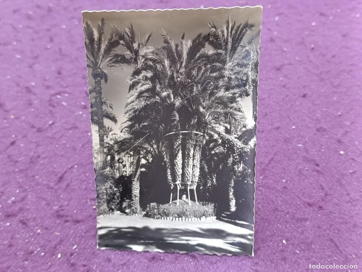 Postales: Antigua Postal en b/n, Elche, Huerto del Cura, Palmera Imperial, Garc&iacute;a Garrabella