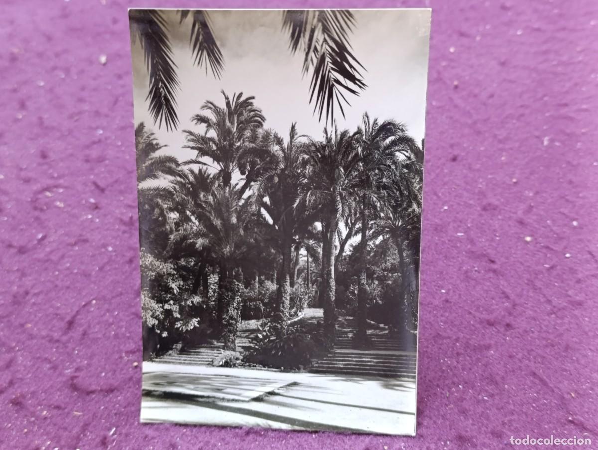 Postales: Antigua Postal en b/n, Elche, Parque Municipal, Arribas