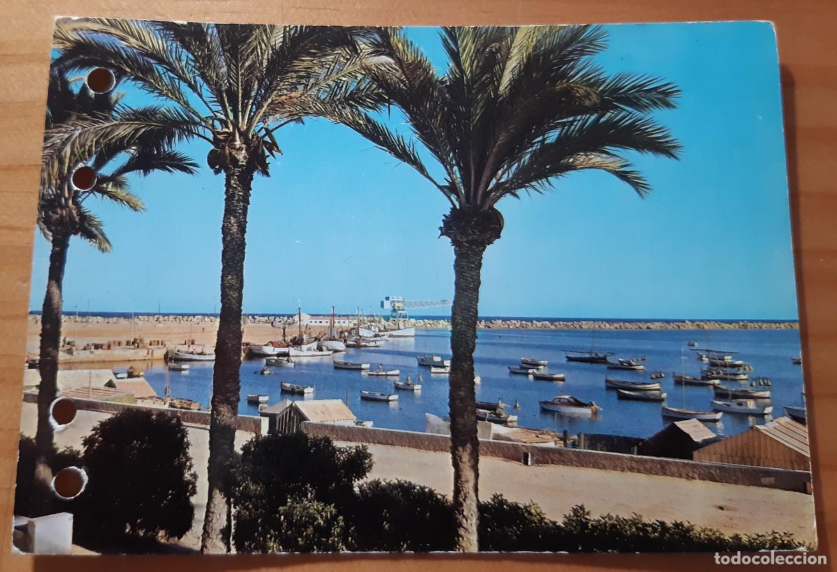 Postales: TORREVIEJA - ALICANTE - N&ordm; 2027 - CIRCULADA - A&Ntilde;O 1964 - 10,50 X 15 CMS.