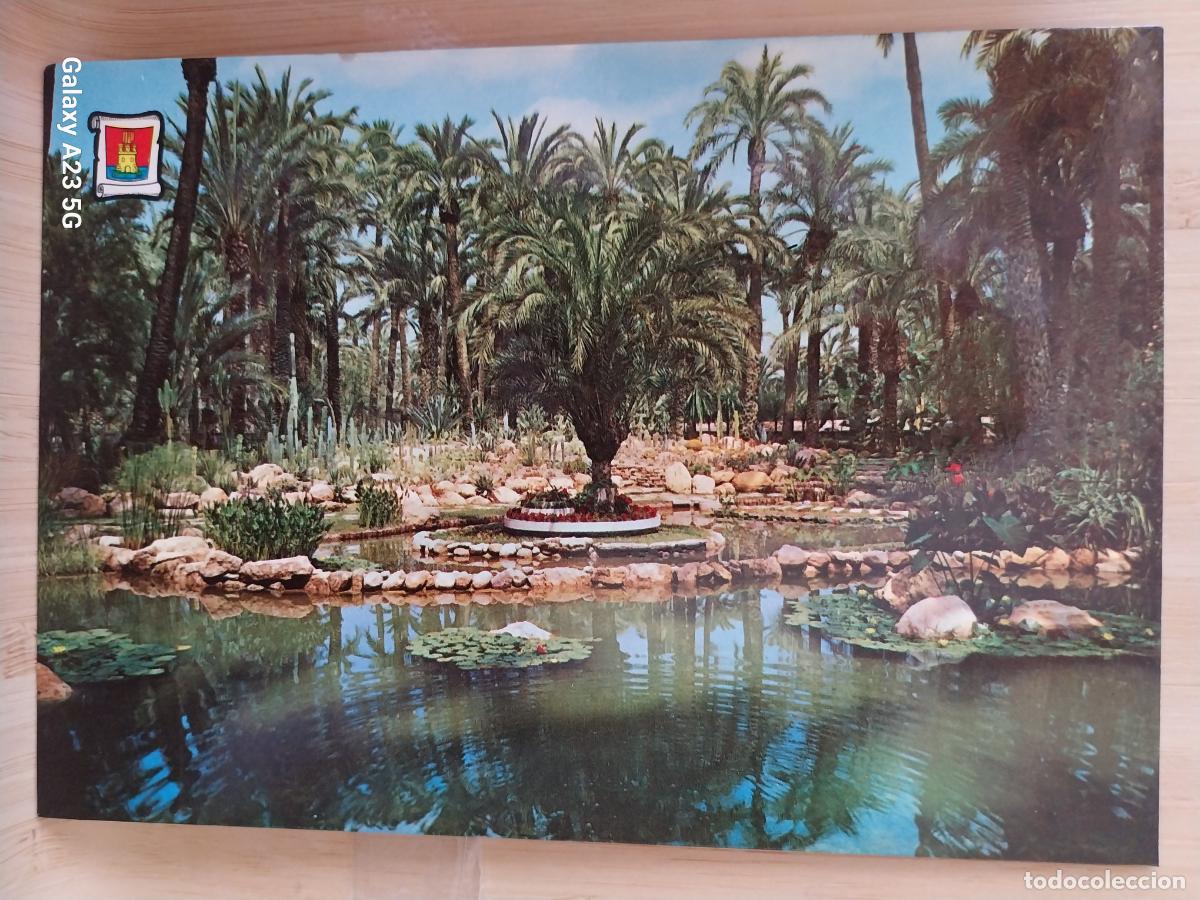 Postales: HUERTO DEL CURA ELCHE ED PERGAMINO 3489 SC ORIGINAL