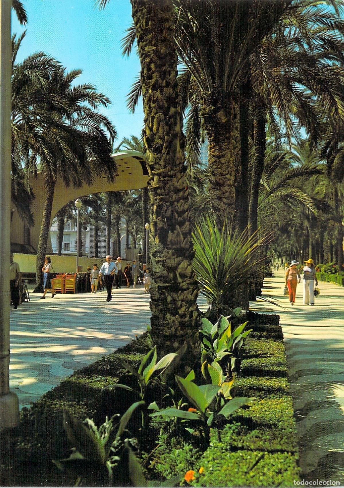 Postales: Postal de Alicante: Paseo de la Explanada con Palmeras