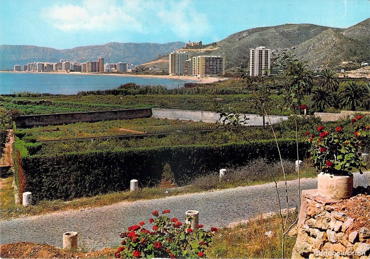 Postales: Postal de Cullera: Huertos de Naranjos del Rac&oacute; y Vista de la Bah&iacute;a