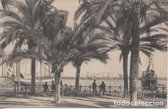 Postales: ALICANTE SIN ESCRIBIR PASEO DE LOS MARTIRES