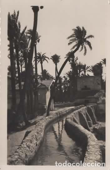 Postales: ALICANTE ELCHE ESCRITA EL CHORRETE