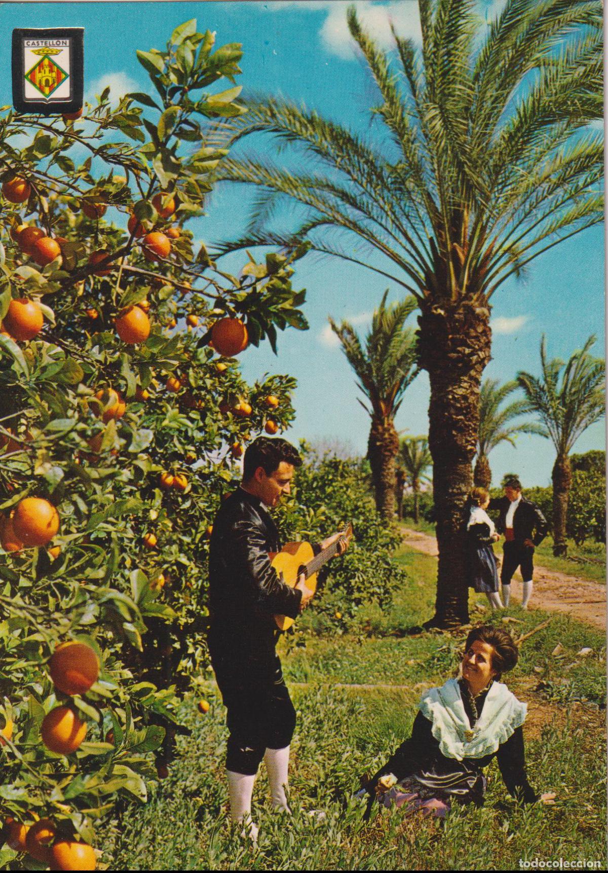 Postales: CASTELLON DE LA PLANA, RINC&Oacute;N DE LA HUERTA - COMAS ALDEA N&ordm;28 - S/C
