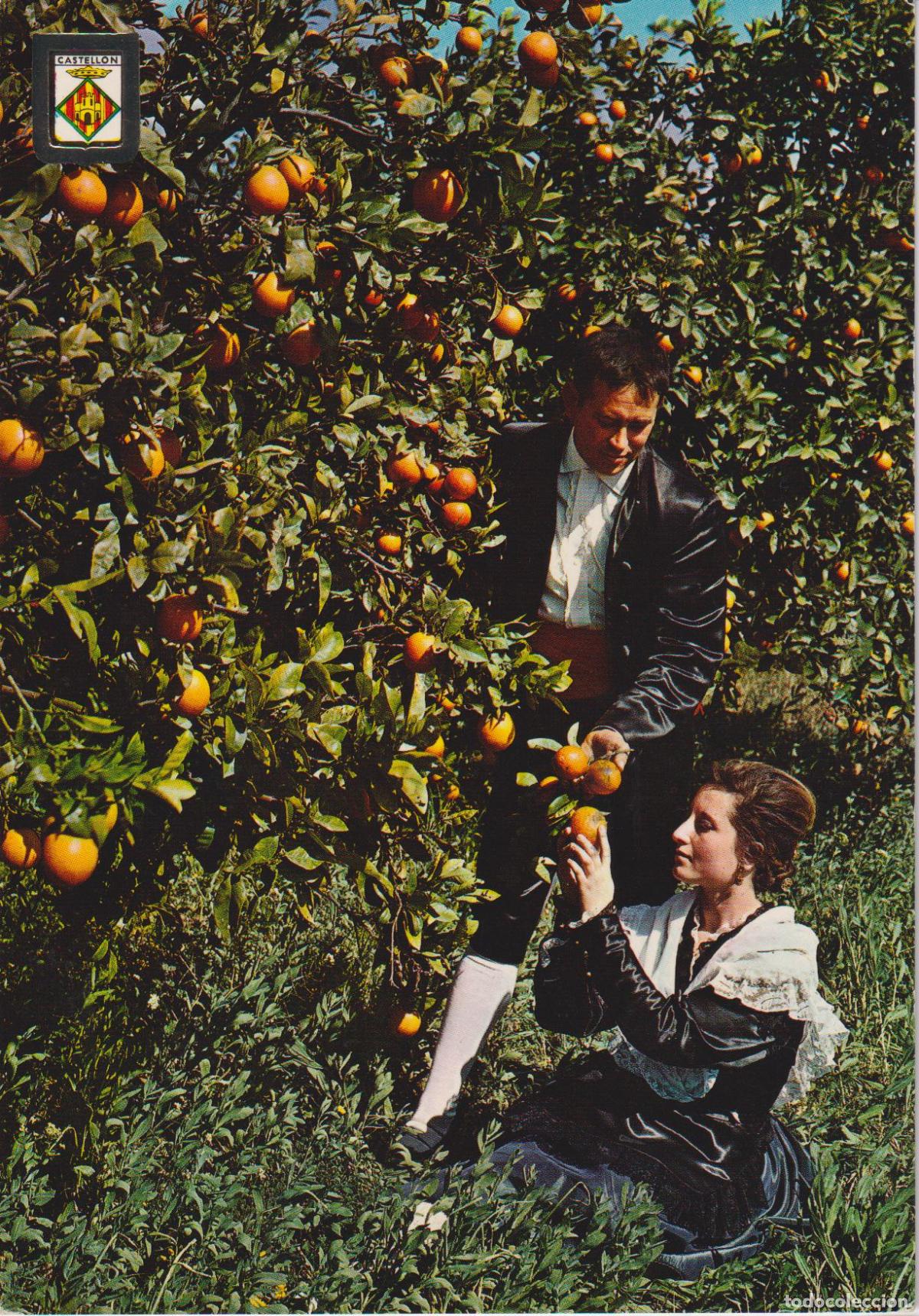 Postales: CASTELLON DE LA PLANA, PAREJA CON EL TRAJE T&Iacute;PICO - COMAS ALDEA N&ordm;29 - CIRCULADA