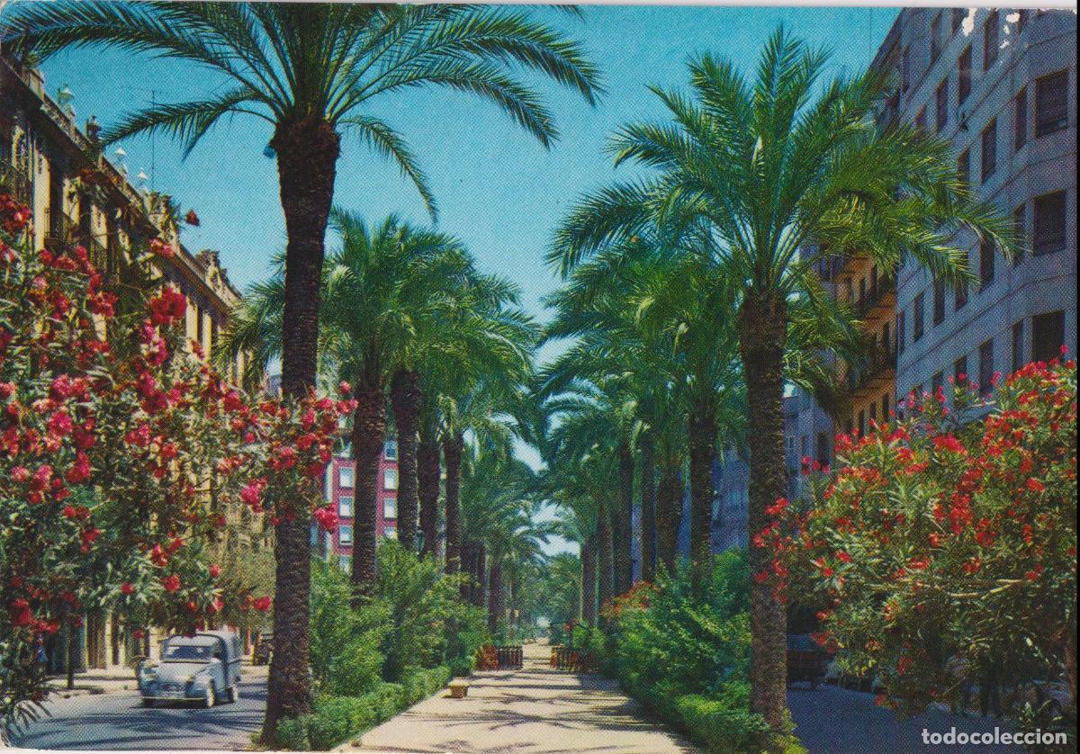 Postales: VALENCIA, AVDA. JOS&Eacute; ANTONIO - ZERKOWITZ SERIE 19 N&ordm;26 - S/C