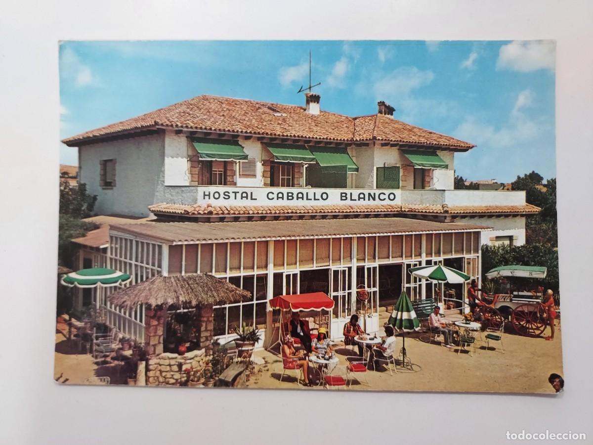 Cartes Postales: POSTAL ALICANTE VISTAHERMOSA HOSTAL CABALLO BLANCO. 1972. SIN CIRCULAR