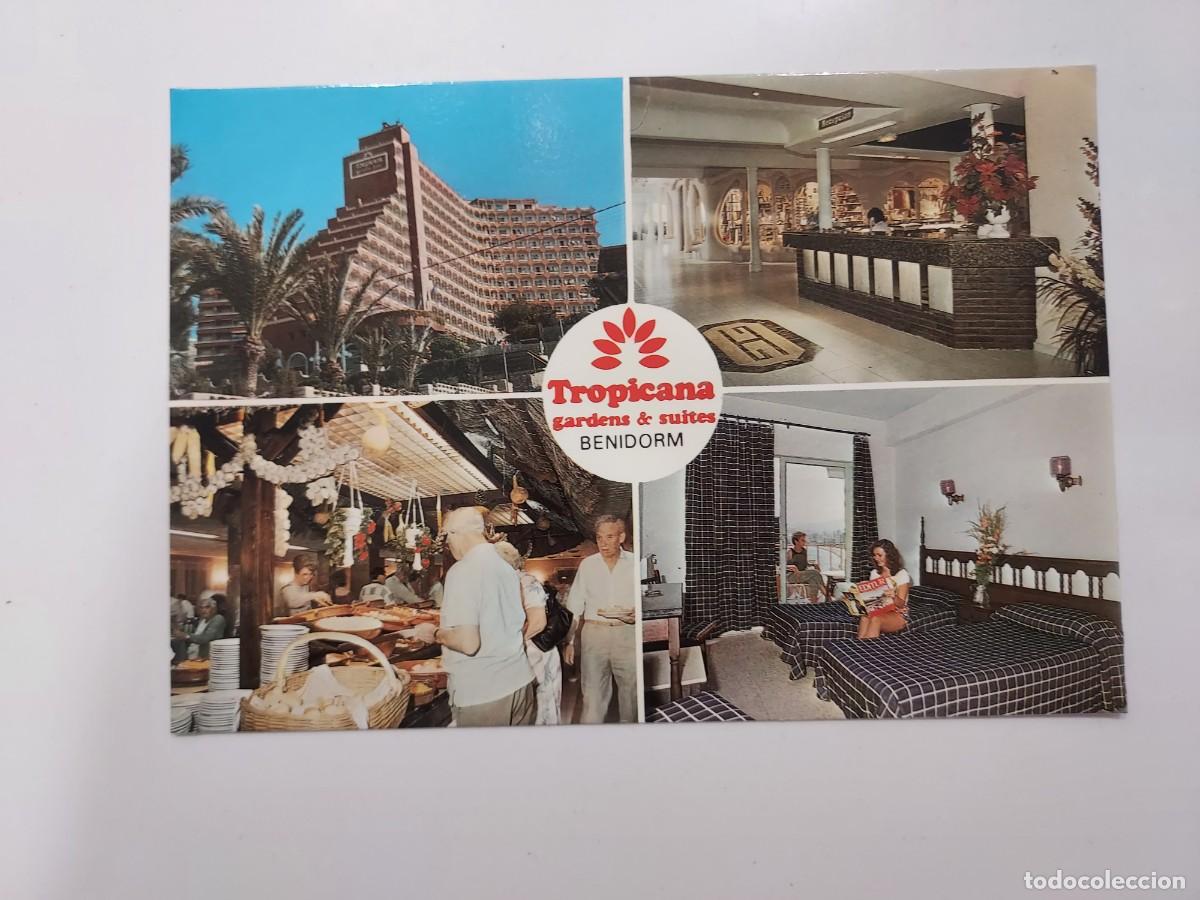 Postales: POSTAL BENIDORM TROPICANA GARDEN & SUITES RINCON DE LOIX. 1987. SIN CIRCULAR. ALICANTE