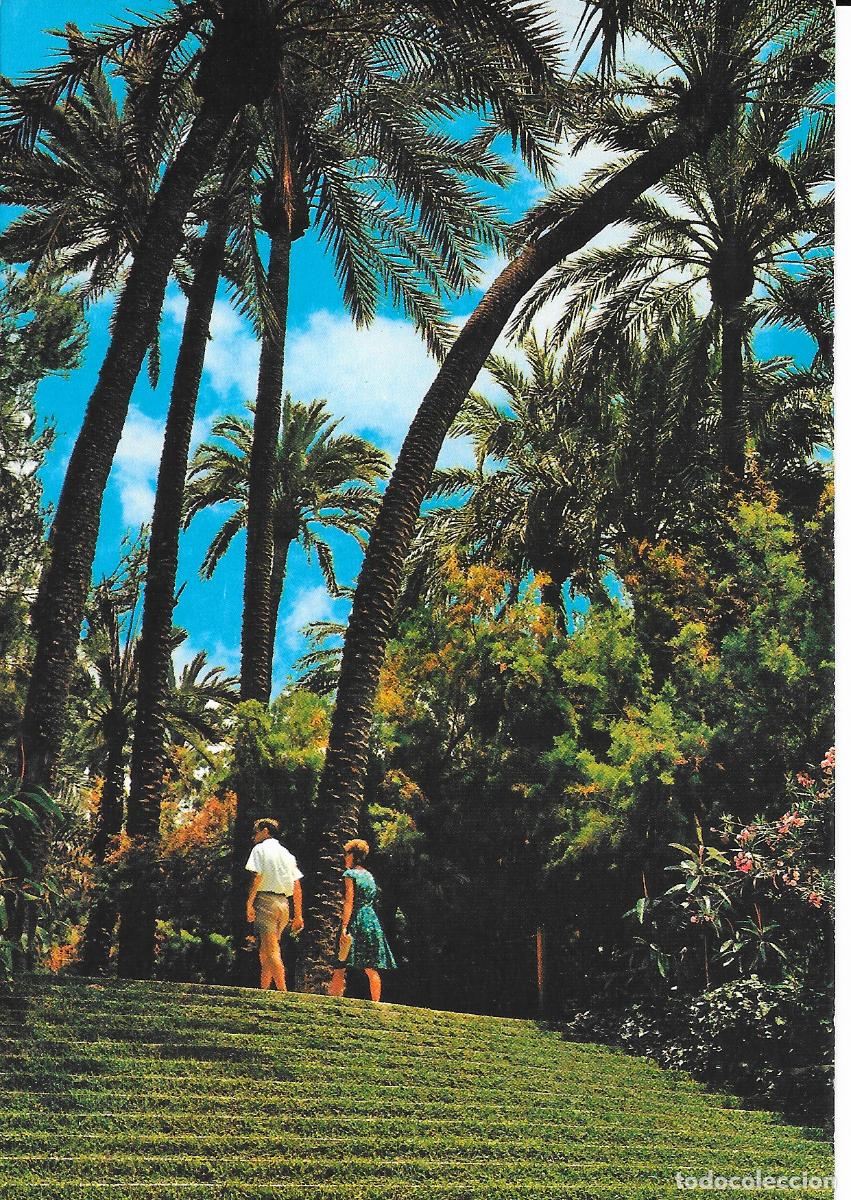 Postales: [POSTAL] Escalinata de l'Hort de Baix. Parque mun. Elche (Alicante) A&ntilde;o 1977 (circulada)