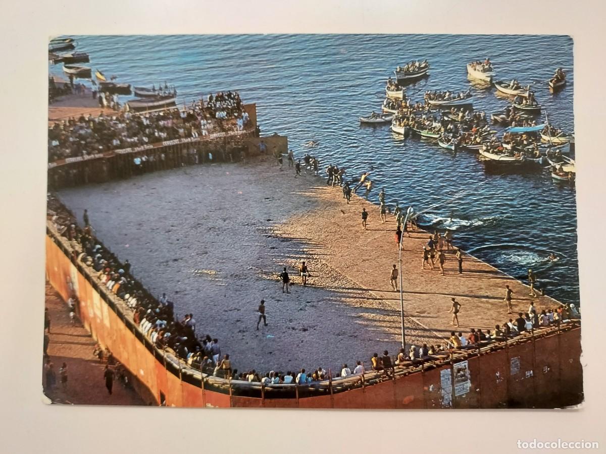 Postales: POSTAL DENIA TOROS EN LA PLAYA. 1970. CIRCULADA. ALICANTE. 12 RAKER