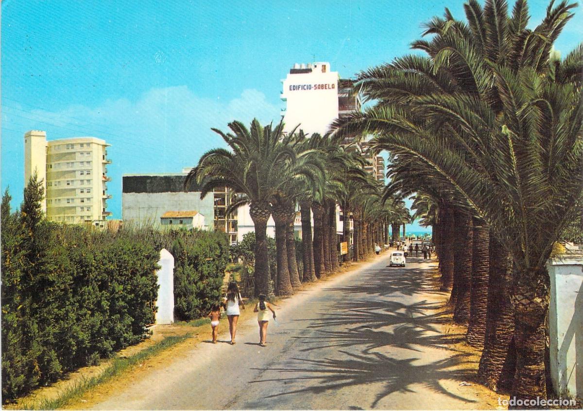 Postales: Postal de Las Palmeras Valencia Avenida de San Roque