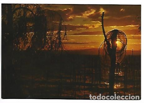 Postales: PUESTA DE SOL EN LA ALBUFERA.- VALENCIA
