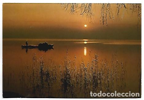 Postales: LA ALBUFERA.- VALENCIA