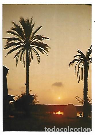 Postales: BAJADA DE SOL EN LA ALBUFERA.- VALENCIA