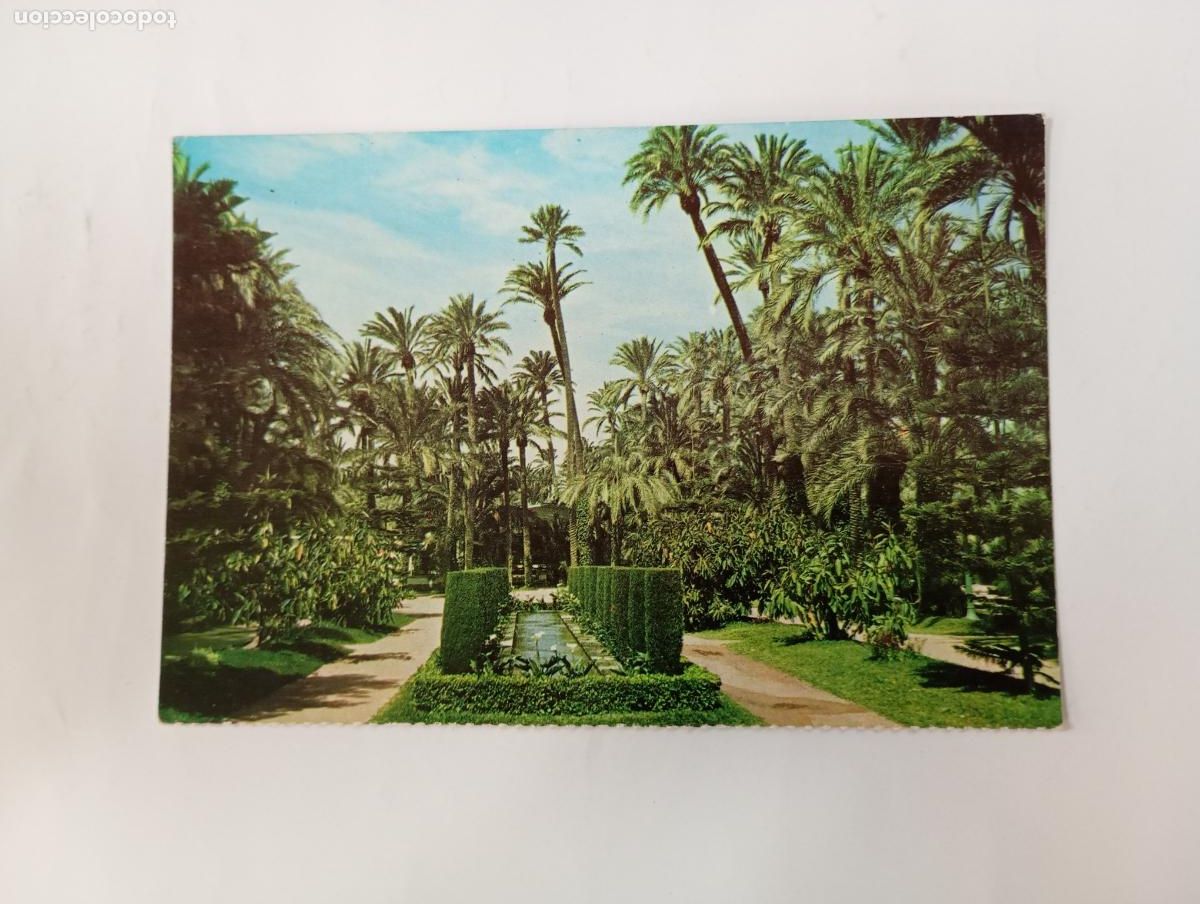 Postales: POSTAL DE ELCHE. PARQUE MUNICIPAL. TDKP29X