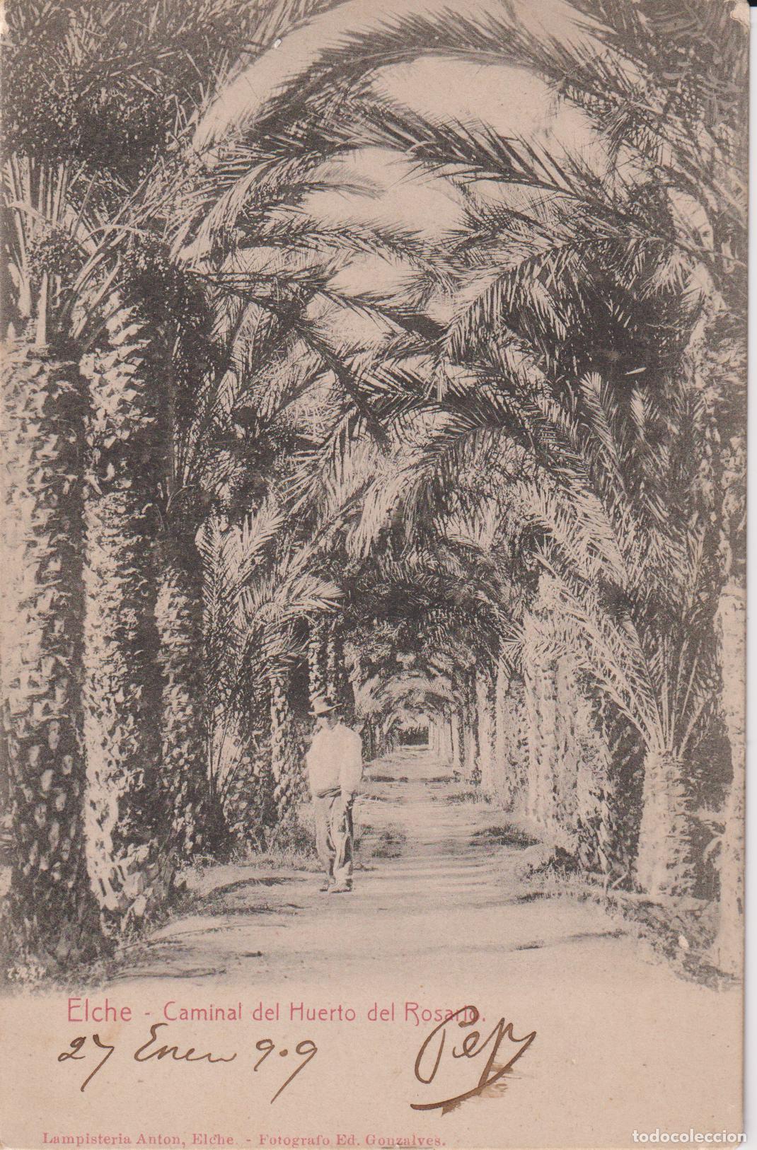 Postales: ELCHE (ALICANTE) CAMINAL DEL HUERTO DEL ROSARIO - ED.GONZALVEZ - CIRCULADA 1909 - S/DIVIDIR